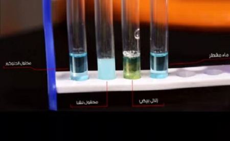 طرق الكشف عن الكربوهيدرات و آلية التمييز بينها