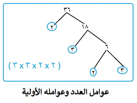 الفرق بين عوامل العدد وعوامله الاولية وما هو العدد الاولي