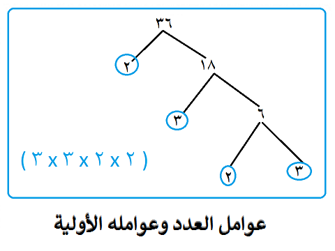 العدد الاولي والغير اولي